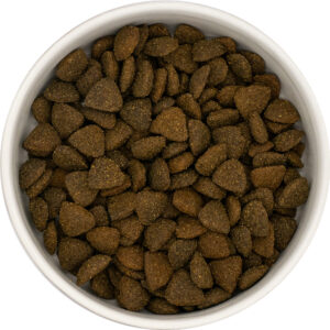 Bufalo italiano con basilico, more, curcuma, semi di lino e mela - cane adulto - immagine 2