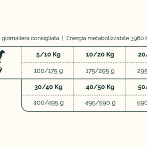 Alta Energia - Premium - immagine 2