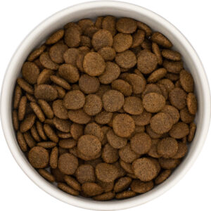 Cervo con patate dolci e more - cane adulto - immagine 2