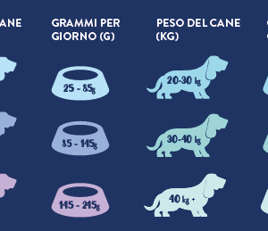 Bufalo italiano con basilico, more, curcuma, semi di lino e mela - cane adulto - immagine 4