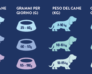 Tacchino Britannico con prezzemolo, papaia, ortica, zucchine e zucche_ Cane adulto piccola taglia - immagine 3