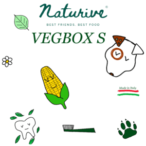 Vegbox per cani di piccola taglia